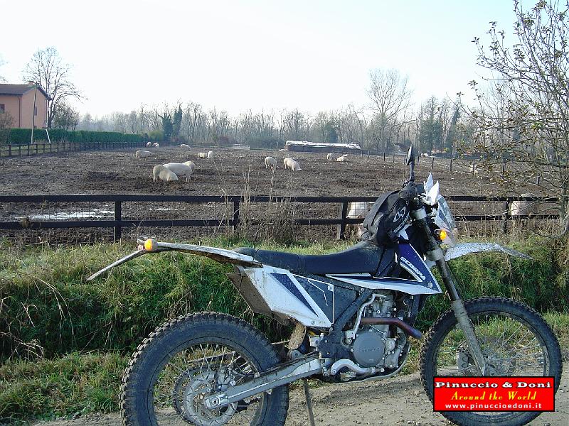 Enduro Besate Ozzero 26-11-08 - 13.JPG